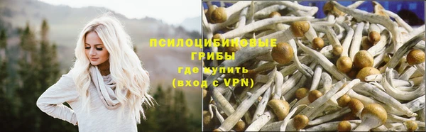 индика Волосово
