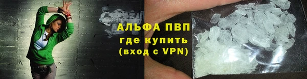 индика Волосово