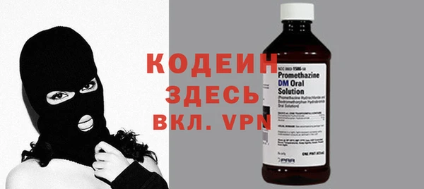 индика Волосово