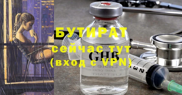 индика Волосово