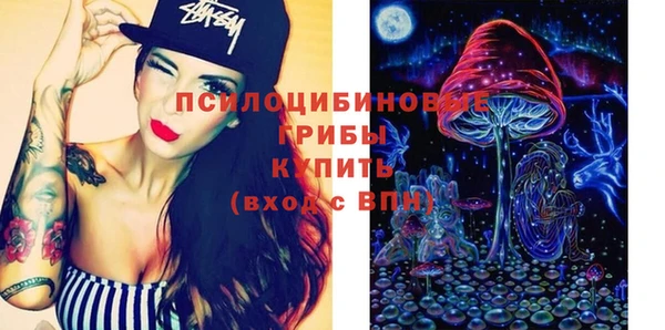 индика Волосово