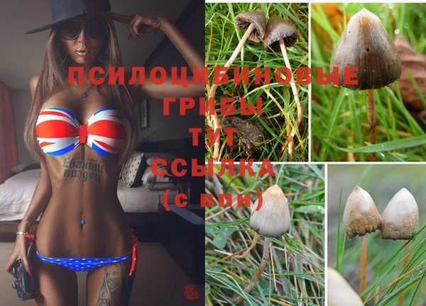 spice Волоколамск